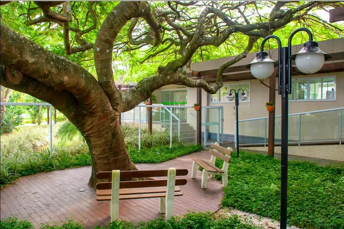 Slide Instituto São José - Flamboyant